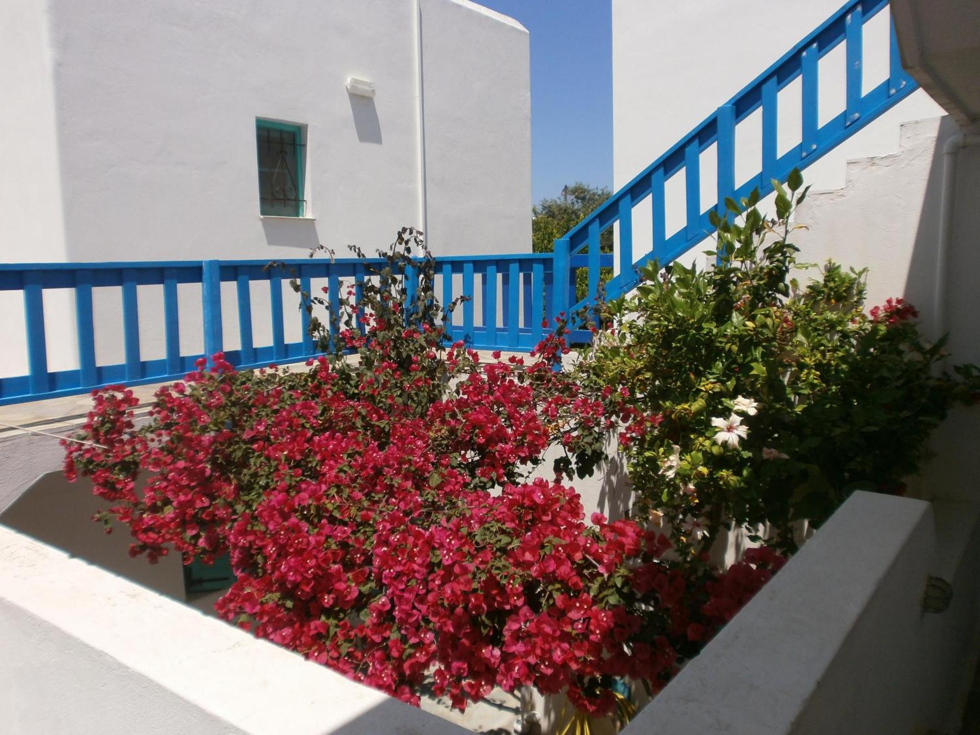 Aegean Village Páros Habitación foto